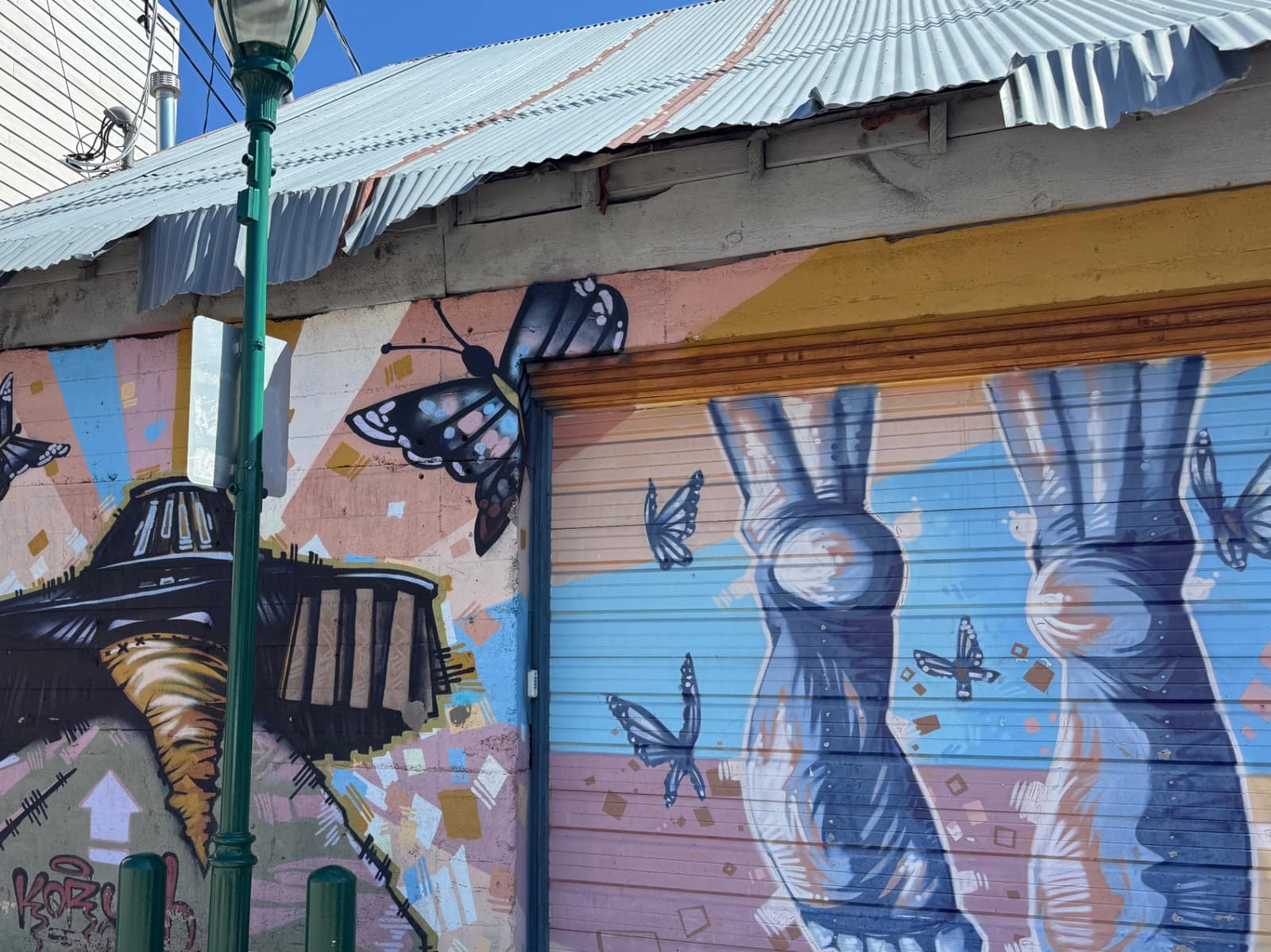 Flower Mural, a mural in Historic Downtown Flagstaff
